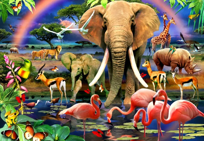 African Savannah