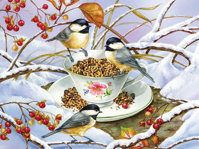 XXL Teile - Chickadee Tea