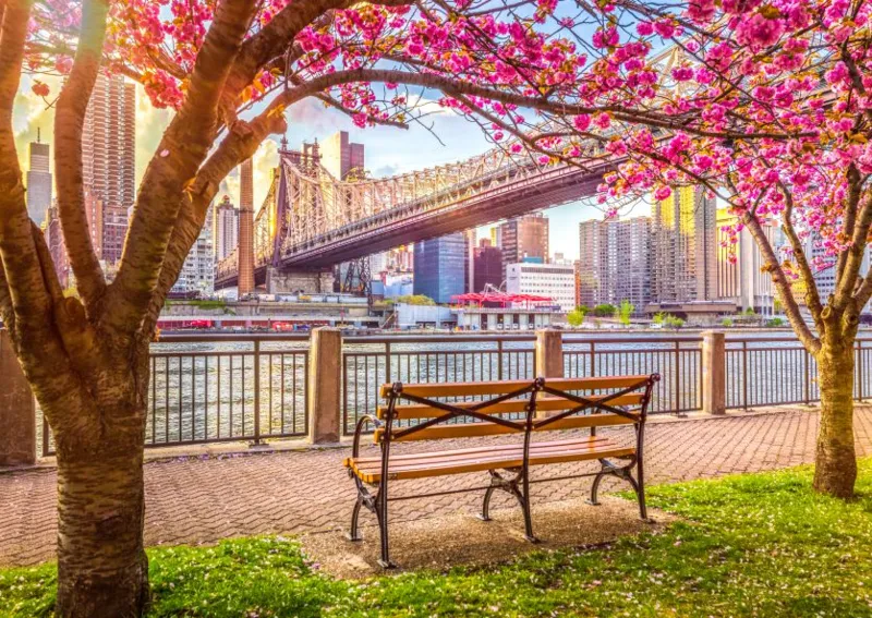 New York, USA