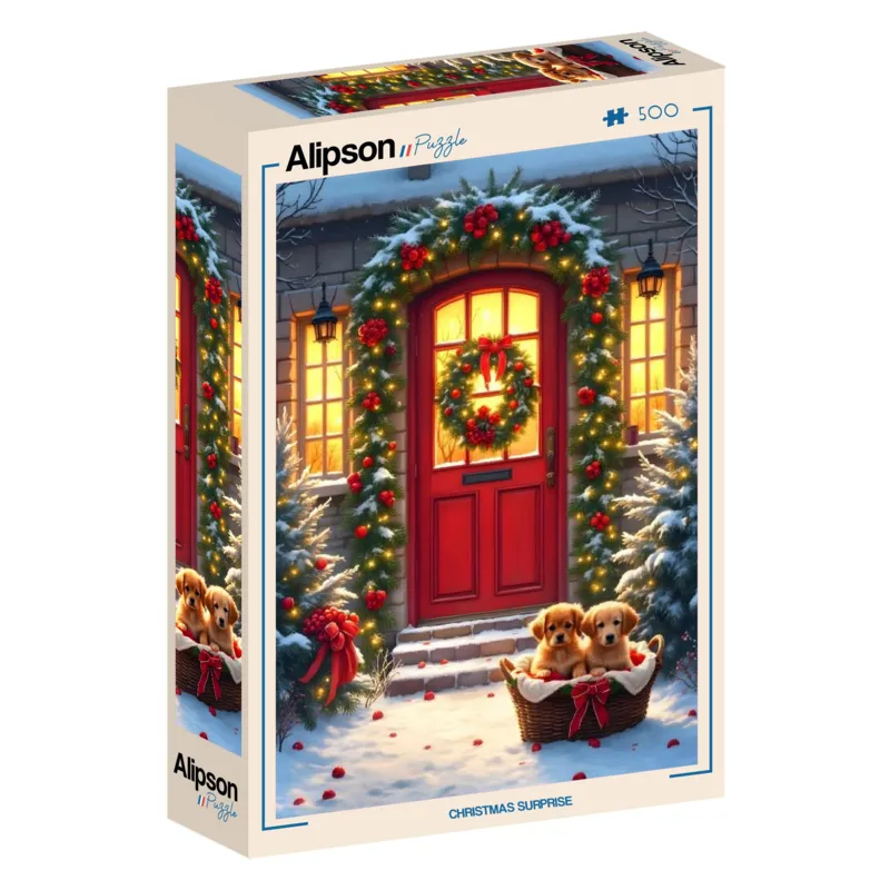 Weihnachtsüberraschung