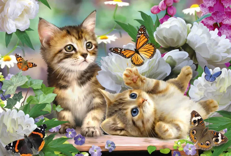 Verspielte Katzenbabies