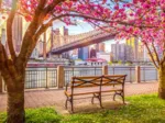 New York, USA