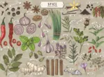 Finders Keepers: Spices Collection