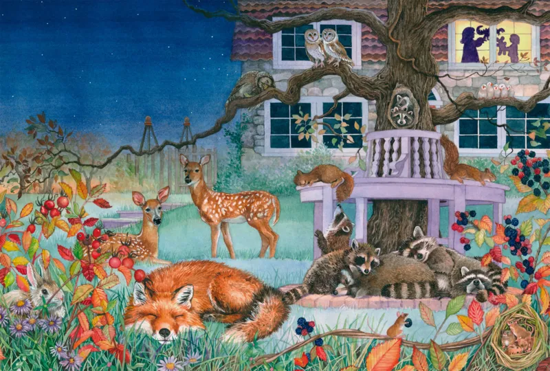 Nächtlicher Tierbesuch