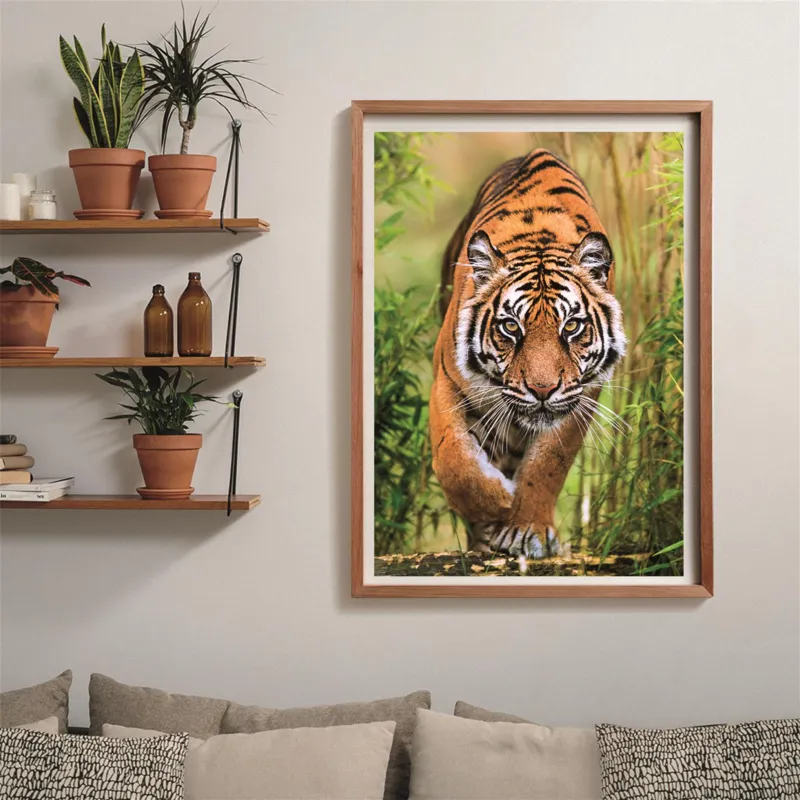 Der Pfad des Jägers