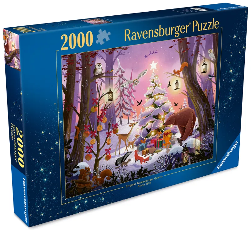 Verzauberte Weihnachtsnacht