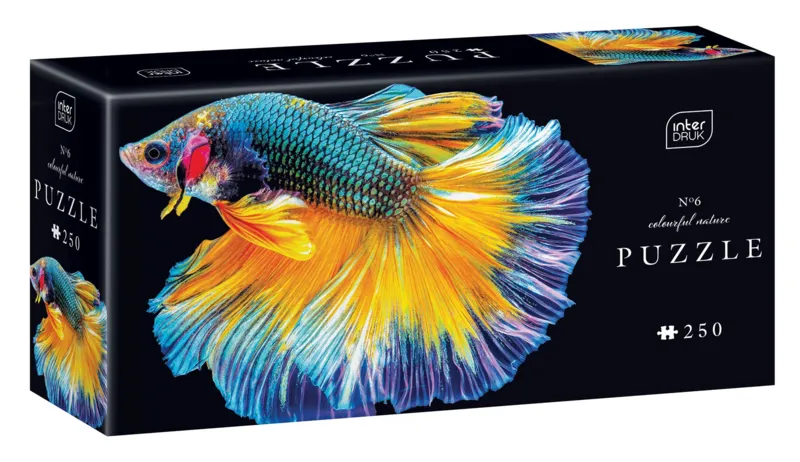 Colourful Nature - Fish