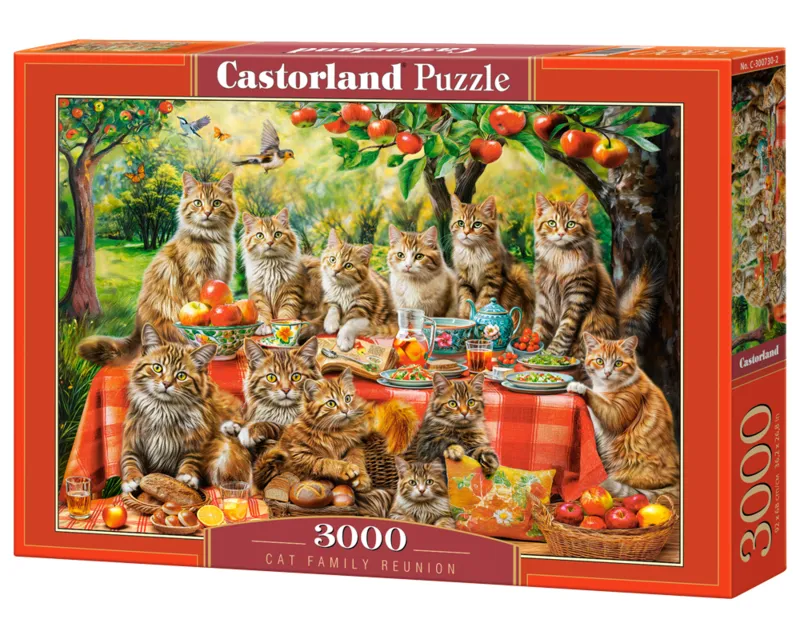 Familientreffen der Katzen