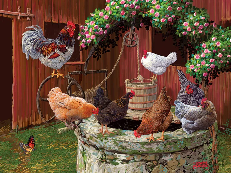 XXL Teile - The Chickens are Well