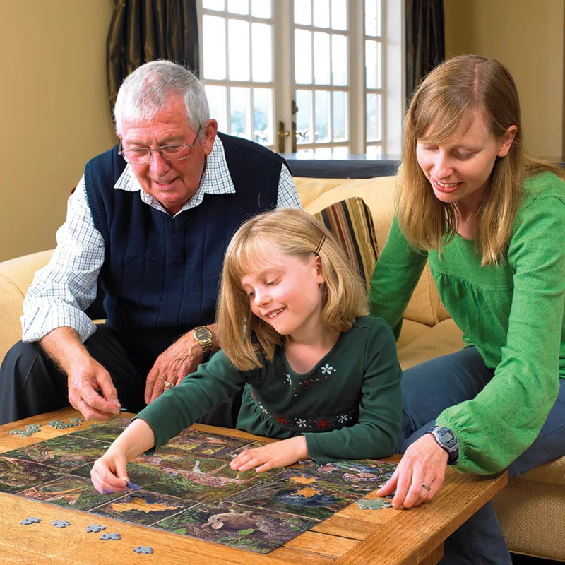 Into the Woods - Family Pieces