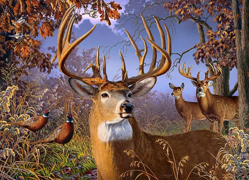 XXL Teile - Deer and Pheasant
