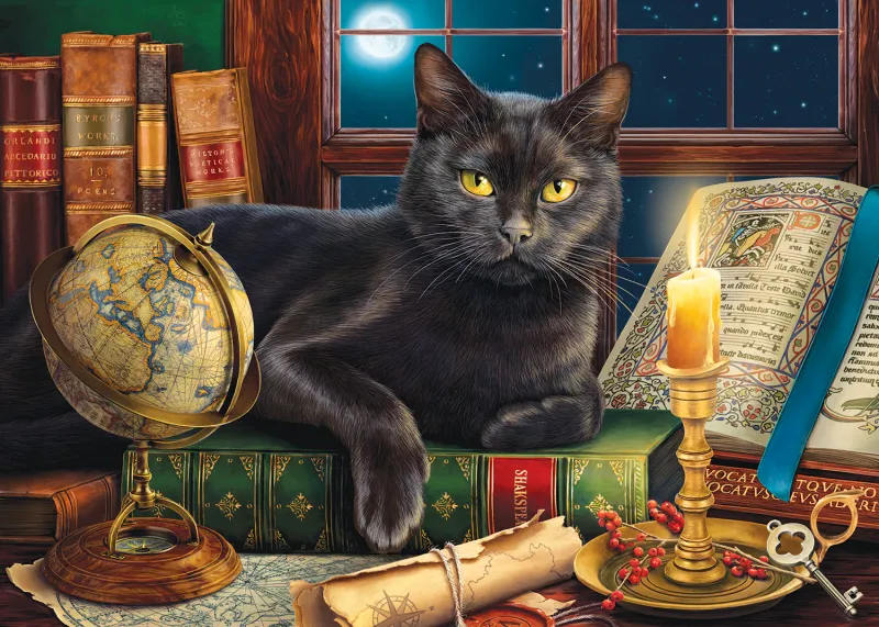 XXL Teile - Black Cat by Candlelight