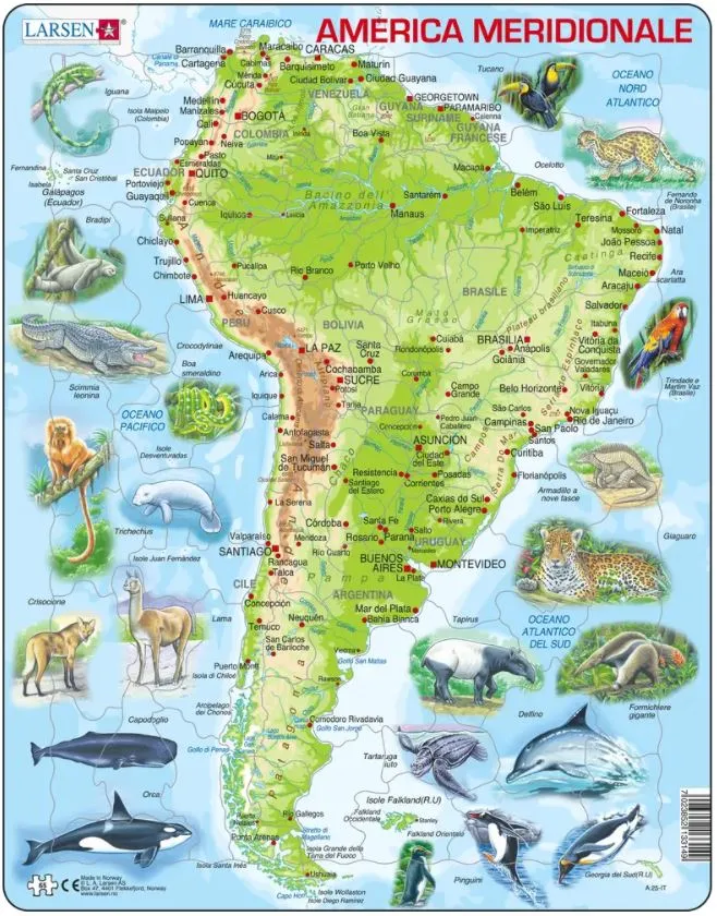 Rahmenpuzzle - South America Topographic Map (Italian)