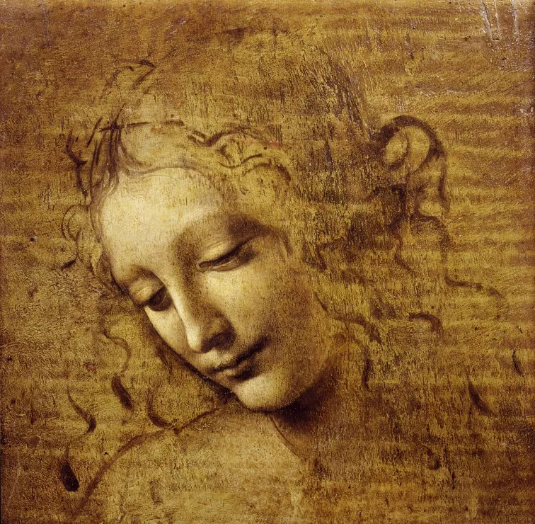 Leonardo da Vinci: Gesicht der Giovane Fanciulla, 1508