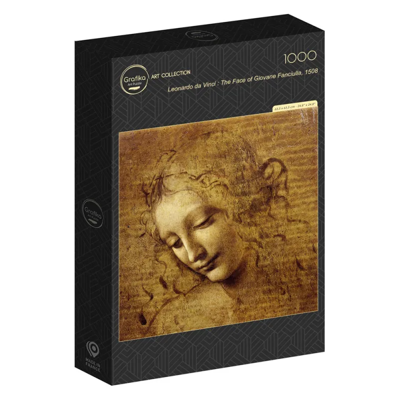 Leonardo da Vinci: Gesicht der Giovane Fanciulla, 1508