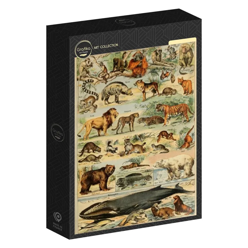 Abbildung aus dem Larousse pour Tous: Säugetiere, 19. Jahrhundert