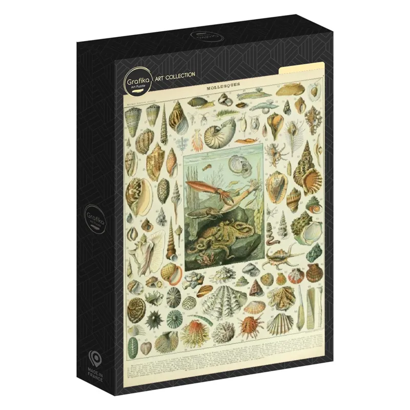 Abbildung aus dem Nouveau Larousse Illustré: Mollusken, 19. Jahrhundert