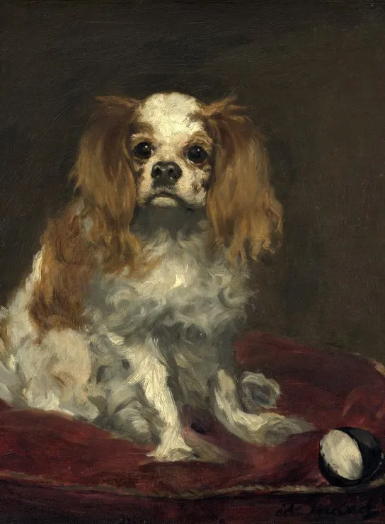 Edouard Manet: A King Charles Spaniel, 1866
