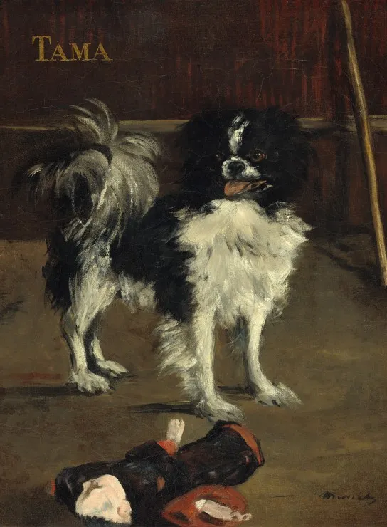 Edouard Manet: Tama: The Japanese Dog, 1875