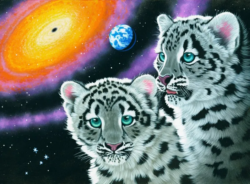 Schim Schimmel - Miracle of the Universe