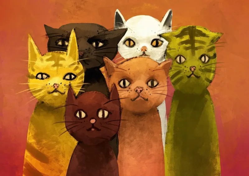 Das Team der Katzen