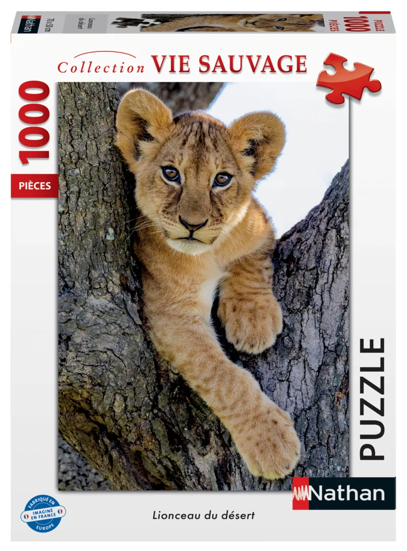 Löwenjunges in der Wüste