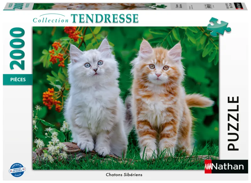 Sibirische Kätzchen