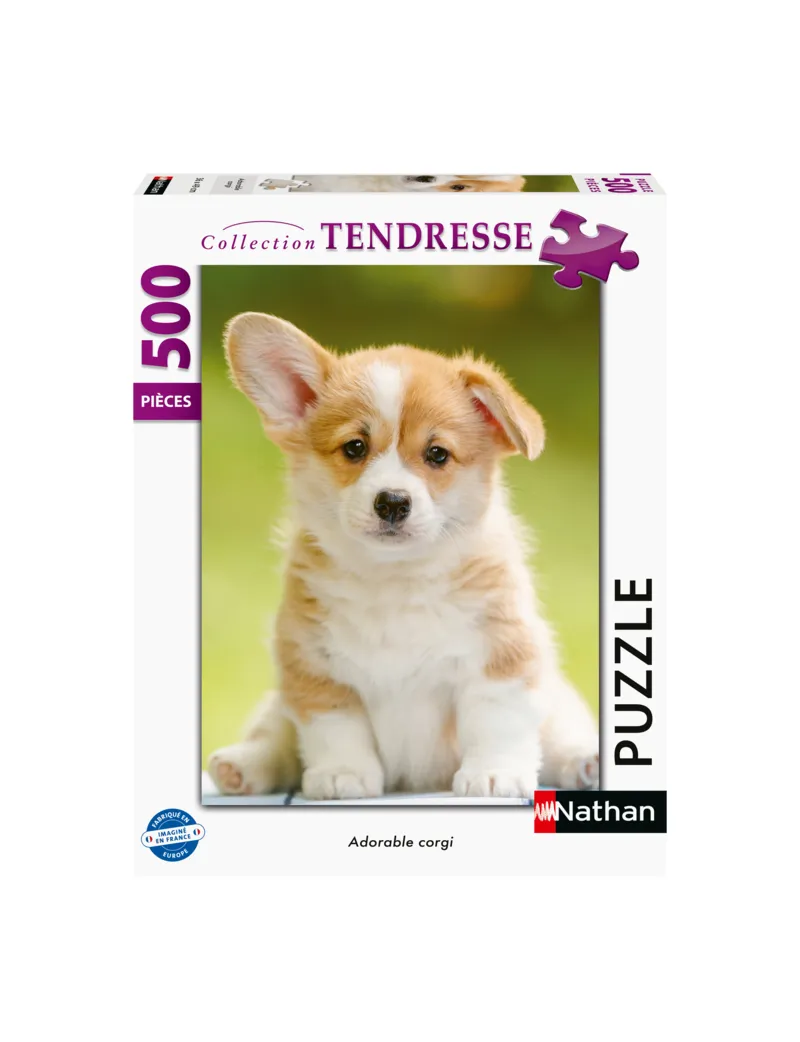 Niedlicher Corgi