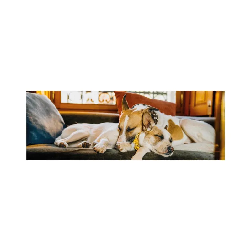 Gump II - Panorama Puzzle