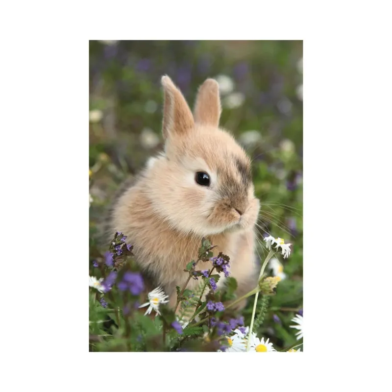 2 Puzzles - Bunny And Guinea Pig