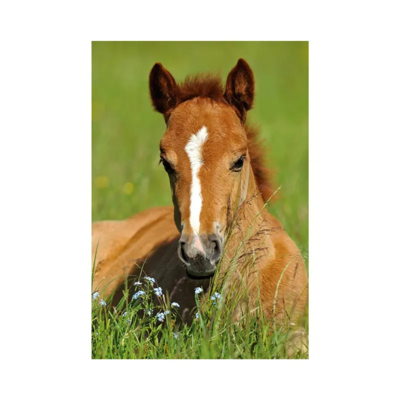 Mini-puzzle Pferd