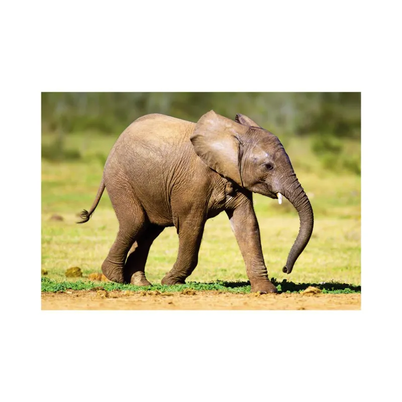 Mini-puzzle Elefant