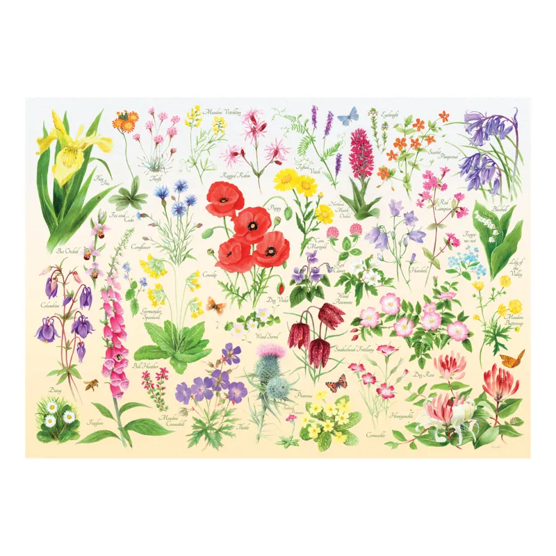 Wildblumen