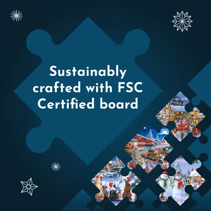 No.20 - Santa Switch On