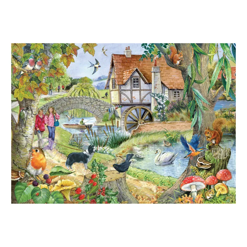 Die alte Mühle