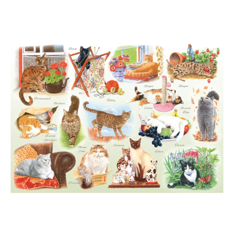 XXL Teile - Katzen über Katzen