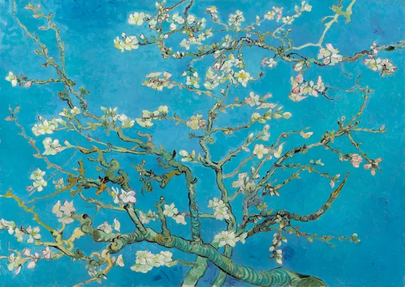 Vincent Van Gogh - Almond Blossom, 1890