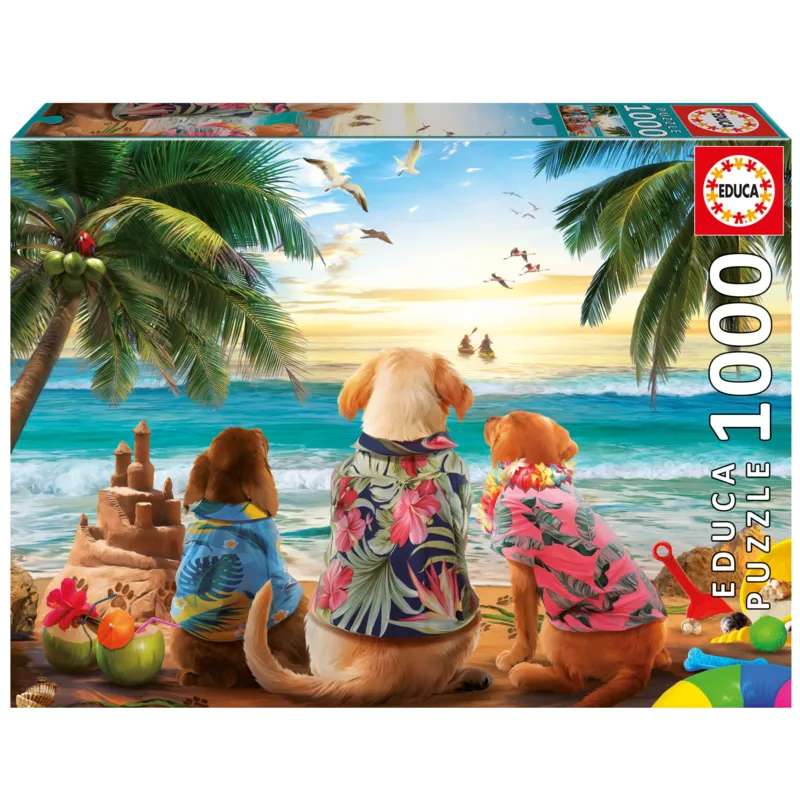 Dogs on the beach