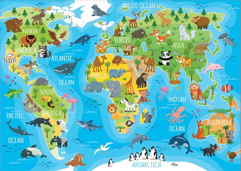 World Map
