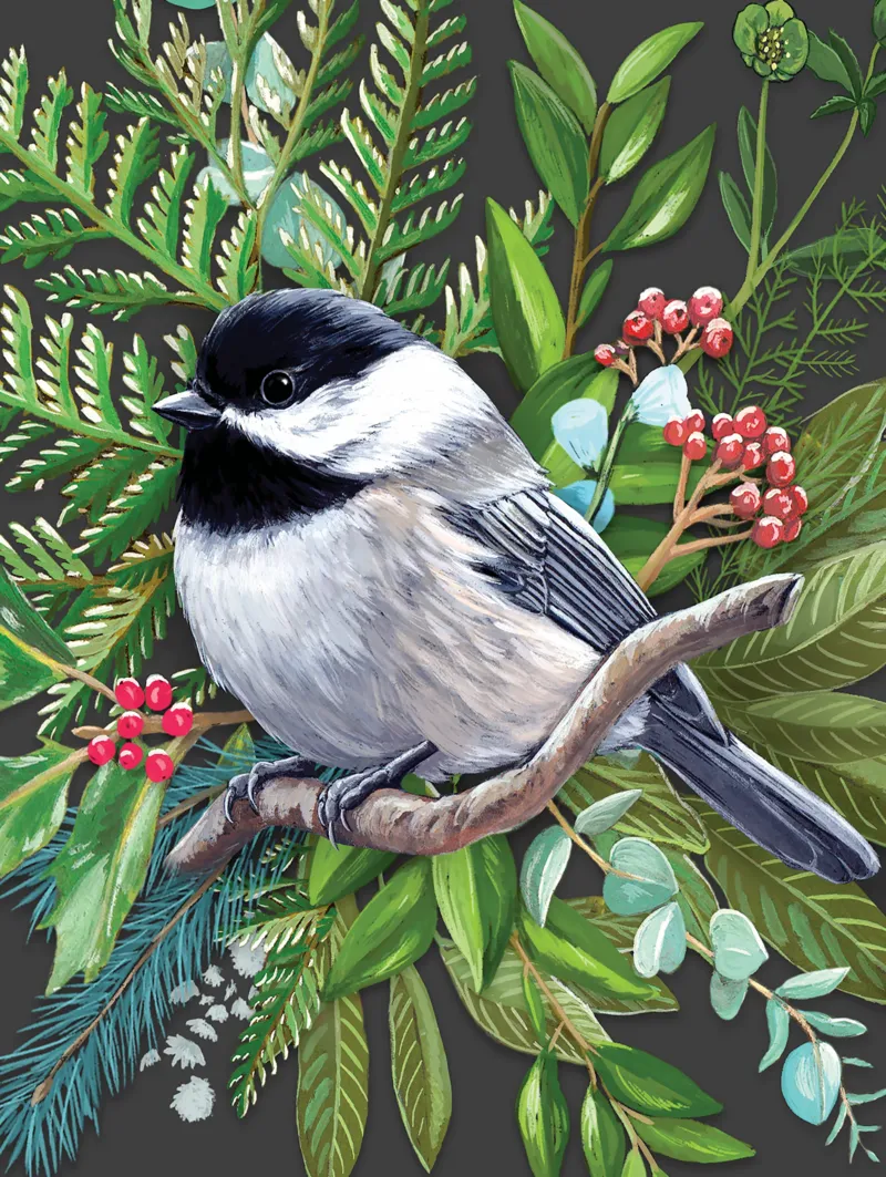XXL Teile - Black-capped Chickadee