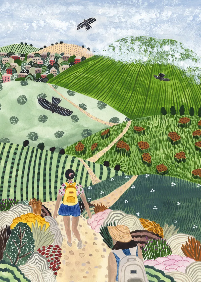 Wanderung durch die Weinberge