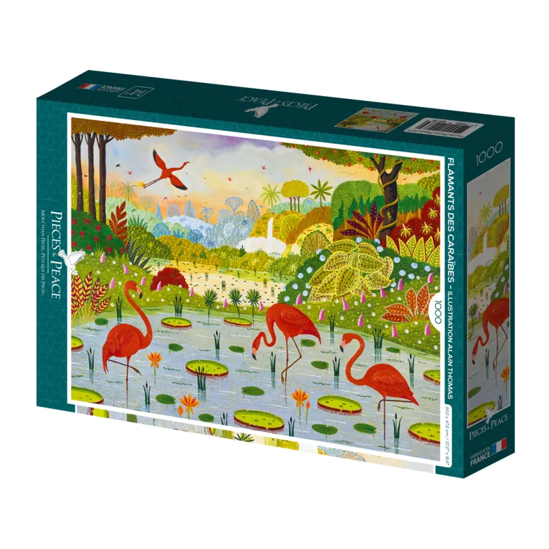 Karibische Flamingos