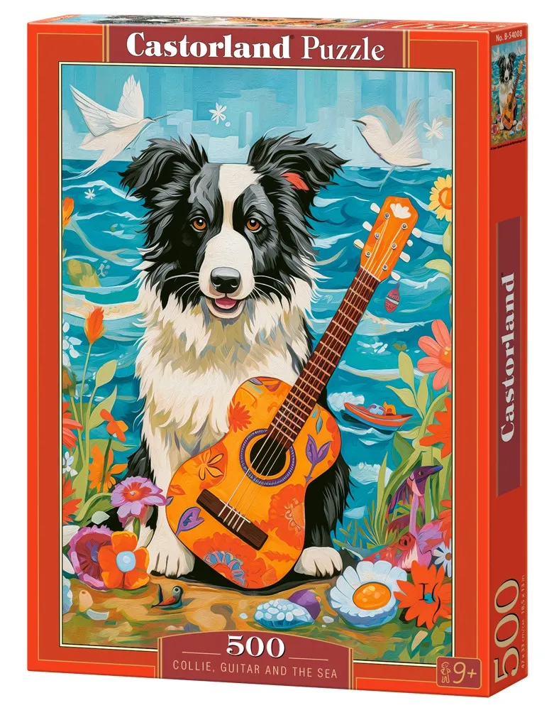 Collie, Gitarre und Meer