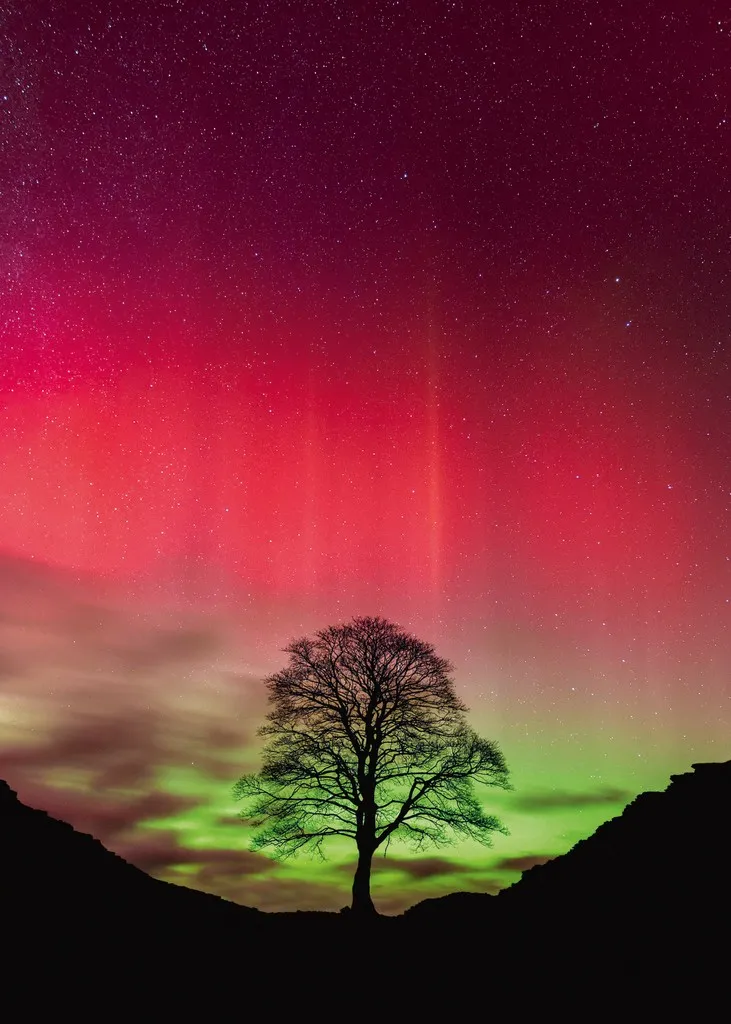 Sycamore Gap