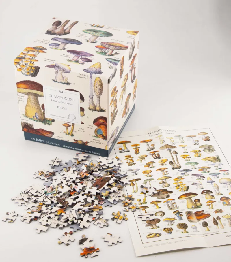 Puzzle Pilze