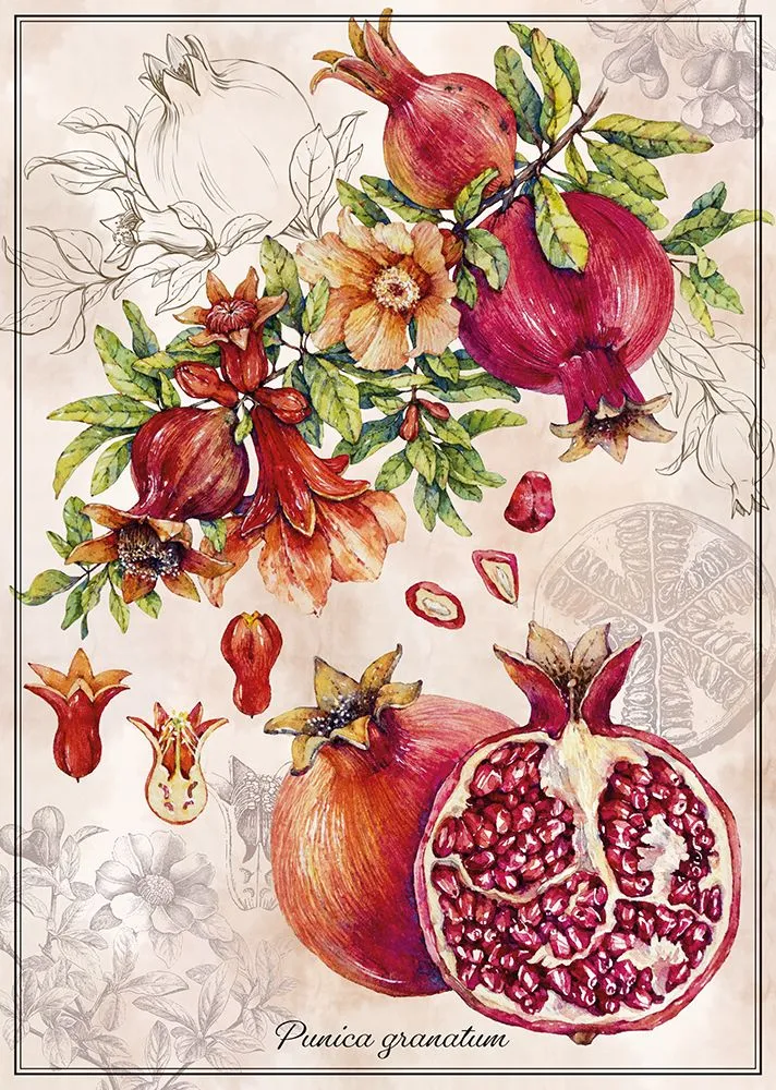 Botanic Collection - Pomegranate