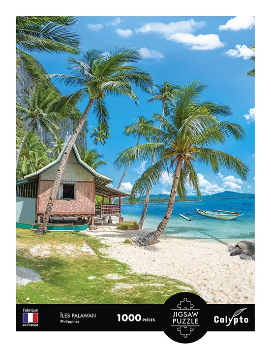 Landschaft – Tropischer Strand Palawan – Philippinen