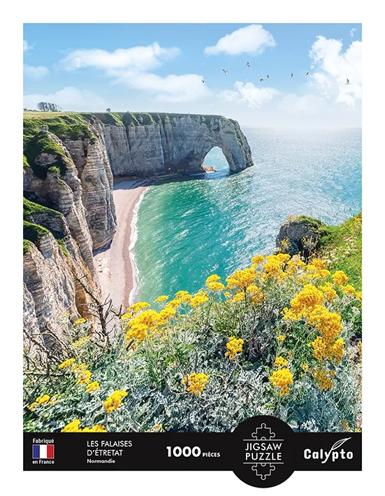Landschaft - Die Klippen Von Étretat - Normandie