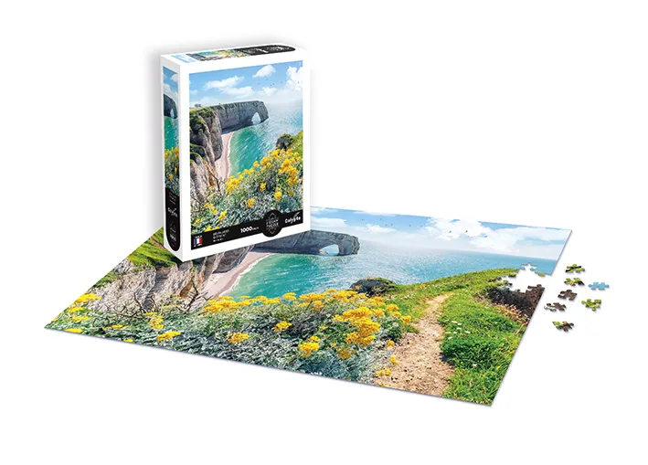 Landschaft - Die Klippen Von Étretat - Normandie