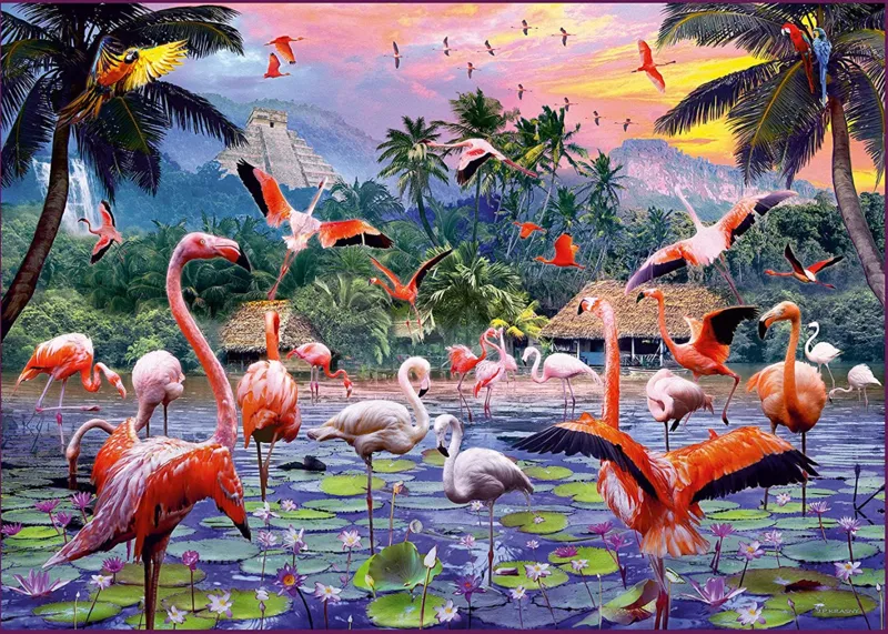 Rosa Flamingos